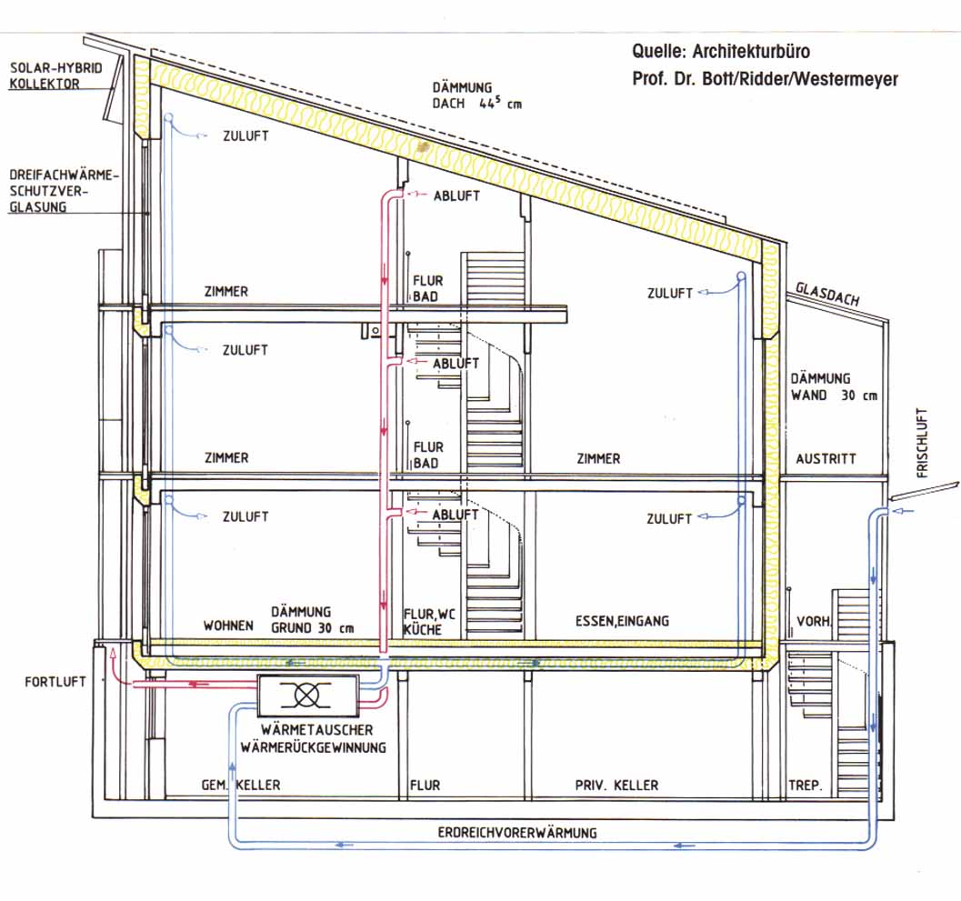 International selection