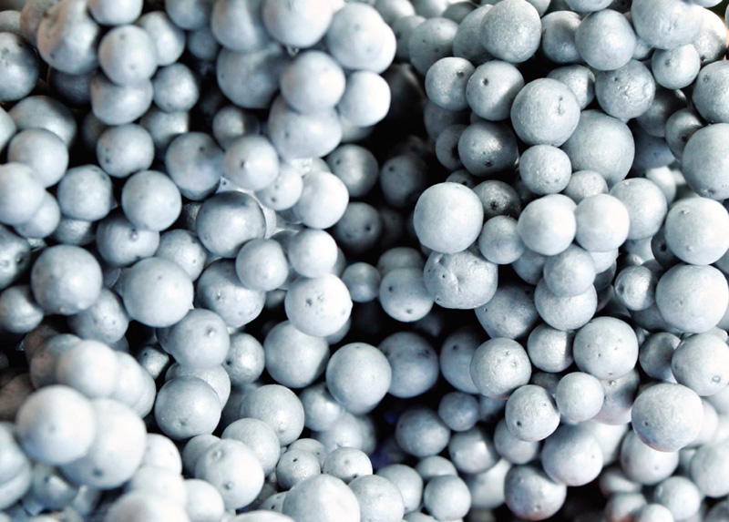 A close up view of platinum EPS bonded bead insulation. Up till now Ireland’s grant funded energy upgrade work has centred on low hanging fruit measures such as pumping bead into cavity walls. A close up view of platinum EPS bonded bead insulation. Up till now Ireland’s grant funded energy upgrade work has centred on low hanging fruit measures such as pumping bead into cavity walls.