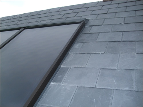 evergreen_solar_big.jpg evergreen_solar_big.jpg