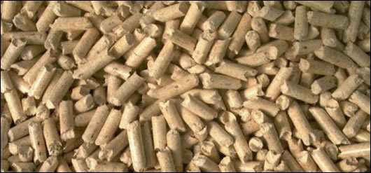 Wood pellets Wood pellets