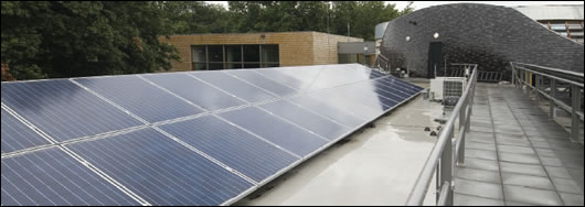 0306-wwfnetherlandsHQ7.jpg 0306-wwfnetherlandsHQ7.jpg