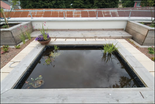 0309-conscientiousobjection5.jpg 0309-conscientiousobjection5.jpg