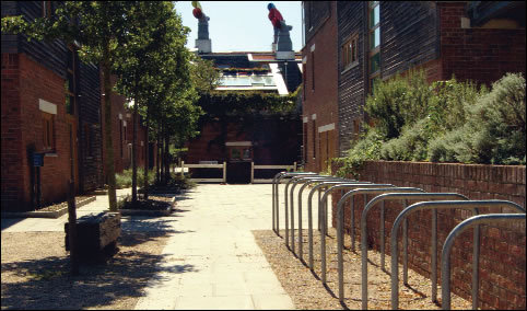 O310-GreenGains6.jpg O310-GreenGains6.jpg