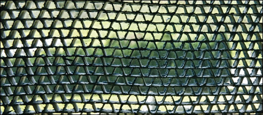 O310-SquaringTheCircle6.jpg O310-SquaringTheCircle6.jpg