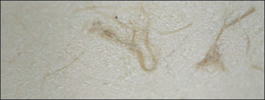 O310-SquaringTheCircle7.jpg O310-SquaringTheCircle7.jpg