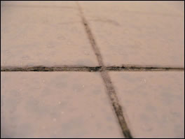 Without adequate ventilation in wet rooms in particular, mould growth will occur Without adequate ventilation in wet rooms in particular, mould growth will occur