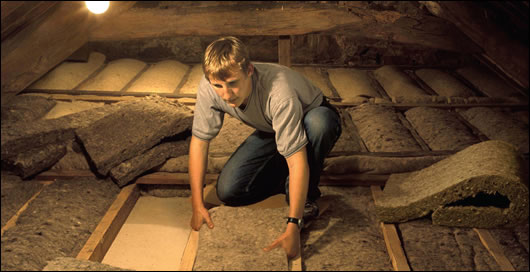 Natural Insulation Building biologists tend to prefer natural insulation products such as sheep wool (above) and wood fibre (below) because of its health benefits, not only for consumers, but for the builder working with the material