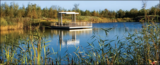 A natural stream that runs through the site (bottom) has been diverted to carry water runoff into two stormwater attenuation ponds (top), which have solved the flooding problem that occurred on site in the past A natural stream that runs through the site (bottom) has been diverted to carry water runoff into two stormwater attenuation ponds (top), which have solved the flooding problem that occurred on site in the past