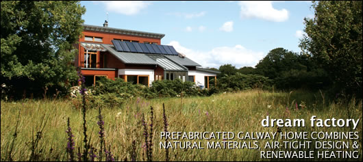 Dream Factory Dream Factory