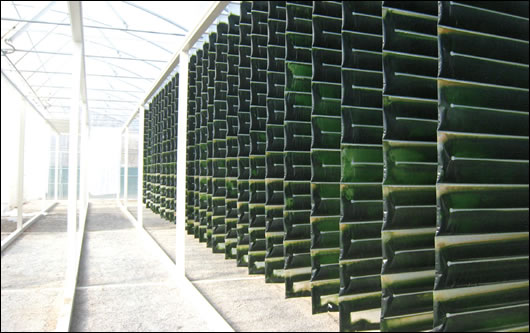 0406-For-Peats-Sake-01.jpg 0406-For-Peats-Sake-01.jpg