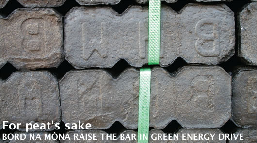 0406-For-Peats-Sake-TITLE.jpg 0406-For-Peats-Sake-TITLE.jpg