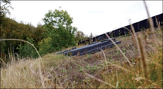 The grass roof The grass roof