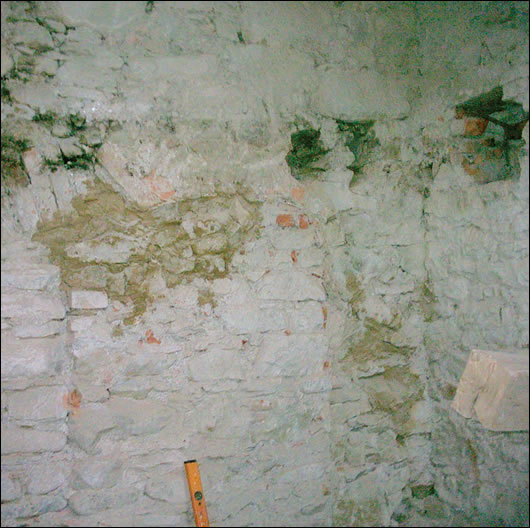Figure 4: Mould and dampness revealed behind a dry-lined wall in a cellar Figure 4: Mould and dampness revealed behind a dry-lined wall in a cellar