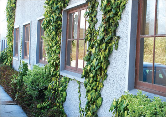 the Aerobord offices in Askeaton, Co Limerick were externally insulated with EPS in 1966 the Aerobord offices in Askeaton, Co Limerick were externally insulated with EPS in 1966